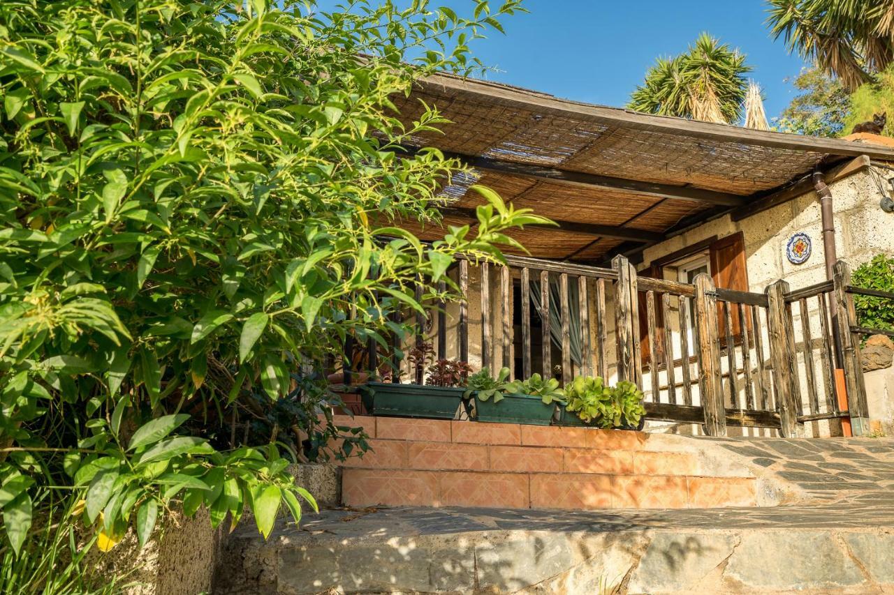 Casitas En El Paraiso กันเดลาเรีย ภายนอก รูปภาพ
